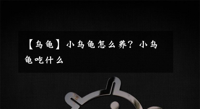 【烏龜】小烏龜怎么養(yǎng)？小烏龜吃什么