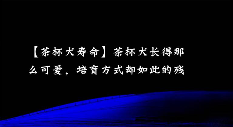 【茶杯犬壽命】茶杯犬長得那么可愛，培育方式卻如此的殘忍，看完表示不能養(yǎng)了