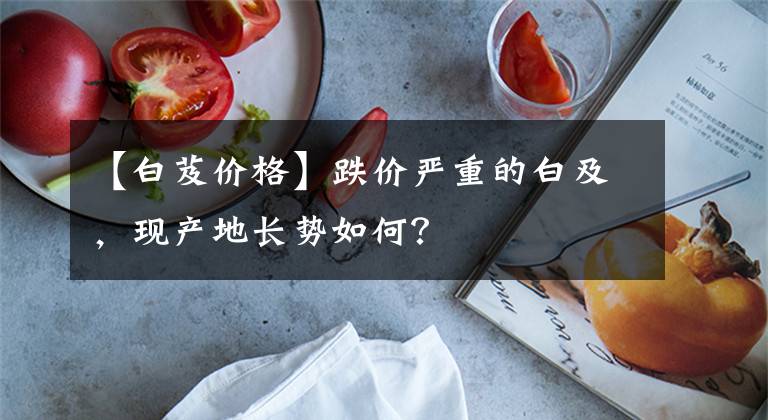 【白芨價格】跌價嚴(yán)重的白及，現(xiàn)產(chǎn)地長勢如何？