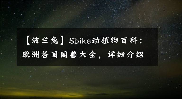 【波蘭兔】Sbike動(dòng)植物百科：歐洲各國(guó)國(guó)獸大全，詳細(xì)介紹及美圖欣賞