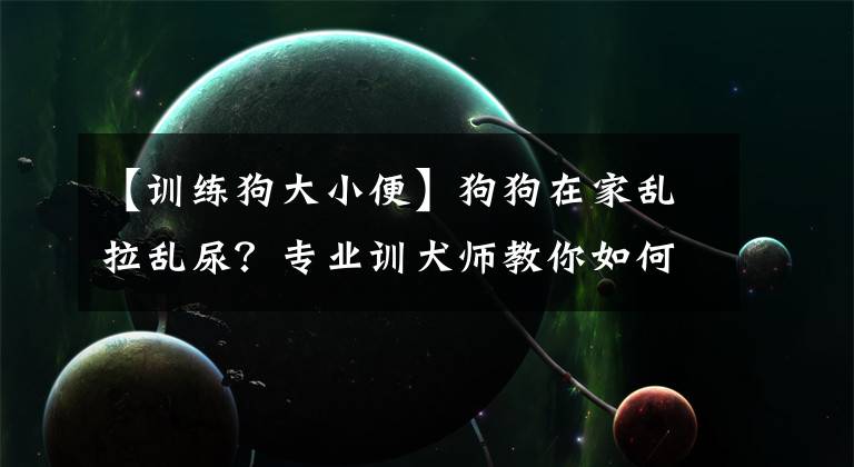 【訓練狗大小便】狗狗在家亂拉亂尿？專業(yè)訓犬師教你如何正確訓練狗狗上廁所！