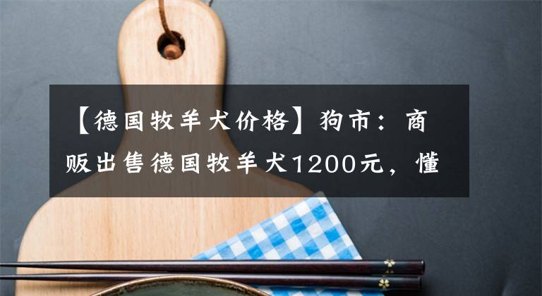 【德國牧羊犬價格】狗市：商販出售德國牧羊犬1200元，懂事的孩子看著父親表態(tài)！