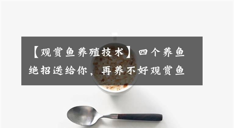 【觀賞魚養(yǎng)殖技術(shù)】四個養(yǎng)魚絕招送給你，再養(yǎng)不好觀賞魚，真是笨死了