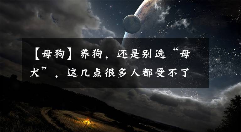 【母狗】養(yǎng)狗，還是別選“母犬”，這幾點(diǎn)很多人都受不了