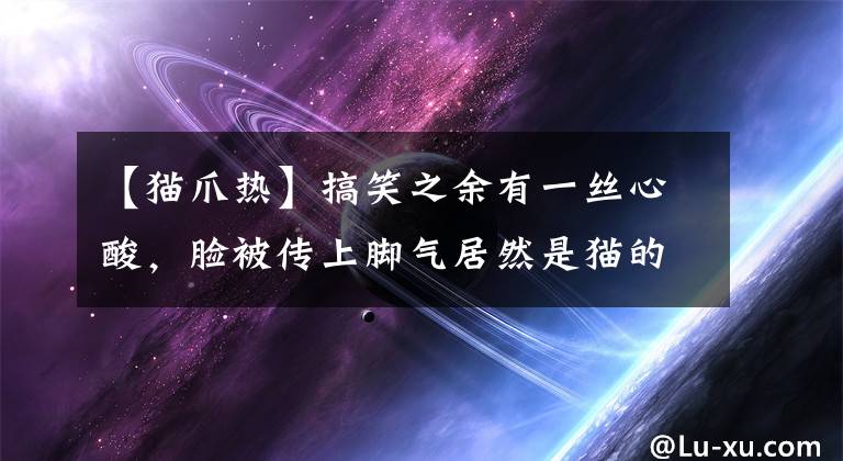 【貓爪熱】搞笑之余有一絲心酸，臉被傳上腳氣居然是貓的鍋，貓咪也有腳氣嗎