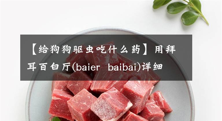 【給狗狗驅蟲吃什么藥】用拜耳百白廳(baier  baibai)詳細說明給狗做體內(nèi)驅蟲的方法