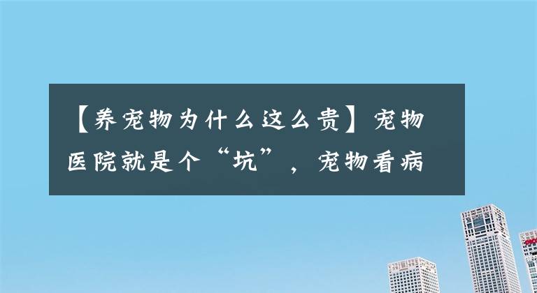 【養(yǎng)寵物為什么這么貴】寵物醫(yī)院就是個“坑”，寵物看病比人都貴！根源在哪里？