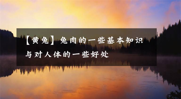 【黃兔】兔肉的一些基本知識 與對人體的一些好處