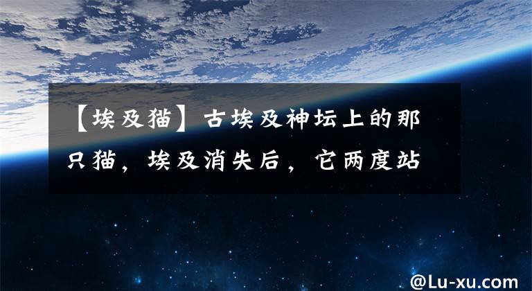 【埃及貓】古埃及神壇上的那只貓，埃及消失后，它兩度站在滅絕的邊緣