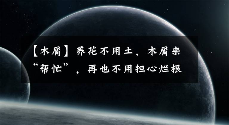 【木屑】養(yǎng)花不用土，木屑來“幫忙”，再也不用擔(dān)心爛根