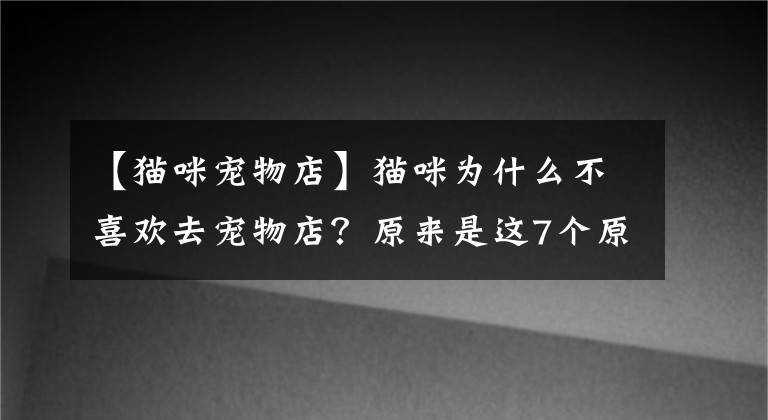 【貓咪寵物店】貓咪為什么不喜歡去寵物店？原來是這7個原因