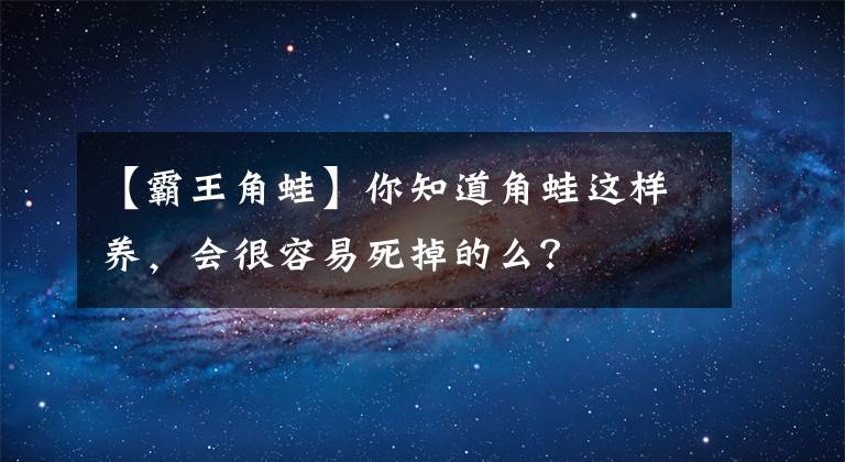 【霸王角蛙】你知道角蛙這樣養(yǎng)，會很容易死掉的么？