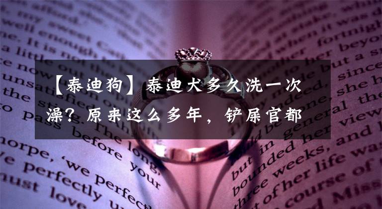 【泰迪狗】泰迪犬多久洗一次澡？原來這么多年，鏟屎官都錯了