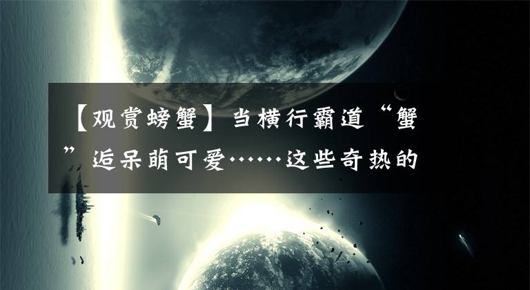 【觀賞螃蟹】當(dāng)橫行霸道“蟹”逅呆萌可愛……這些奇熱的觀賞蟹不了解一下？(*?▽?*)