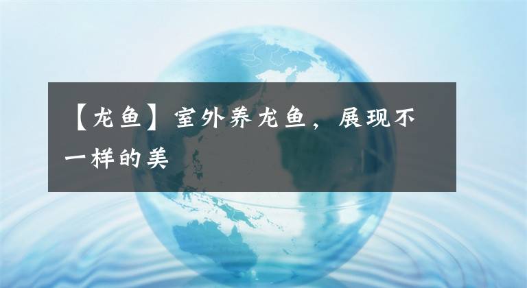 【龍魚】室外養(yǎng)龍魚，展現(xiàn)不一樣的美