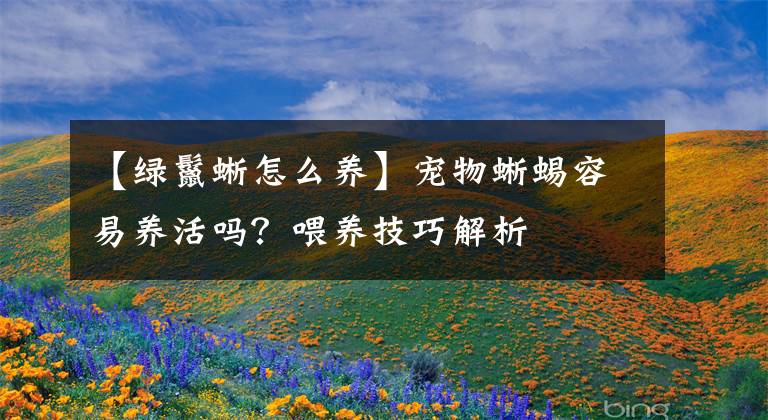 【綠鬣蜥怎么養(yǎng)】寵物蜥蜴容易養(yǎng)活嗎？喂養(yǎng)技巧解析