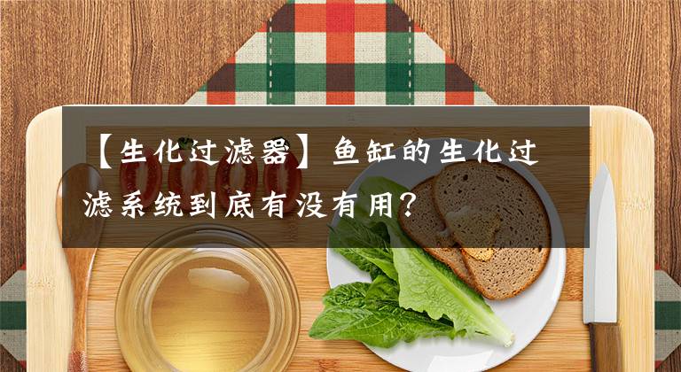 【生化過濾器】魚缸的生化過濾系統(tǒng)到底有沒有用？