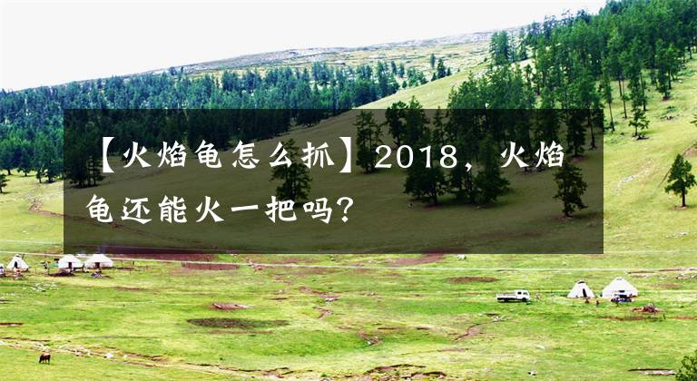 【火焰龜怎么抓】2018，火焰龜還能火一把嗎？