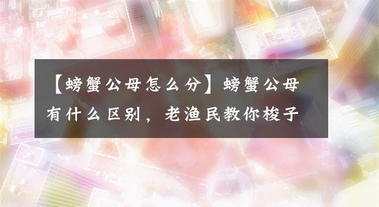 【螃蟹公母怎么分】螃蟹公母有什么區(qū)別，老漁民教你梭子蟹挑選技巧，保證肉質(zhì)肥美