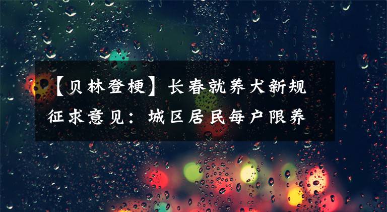 【貝林登?！块L(zhǎng)春就養(yǎng)犬新規(guī)征求意見：城區(qū)居民每戶限養(yǎng)一只犬，禁養(yǎng)德牧