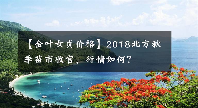 【金葉女貞價(jià)格】2018北方秋季苗市收官，行情如何？