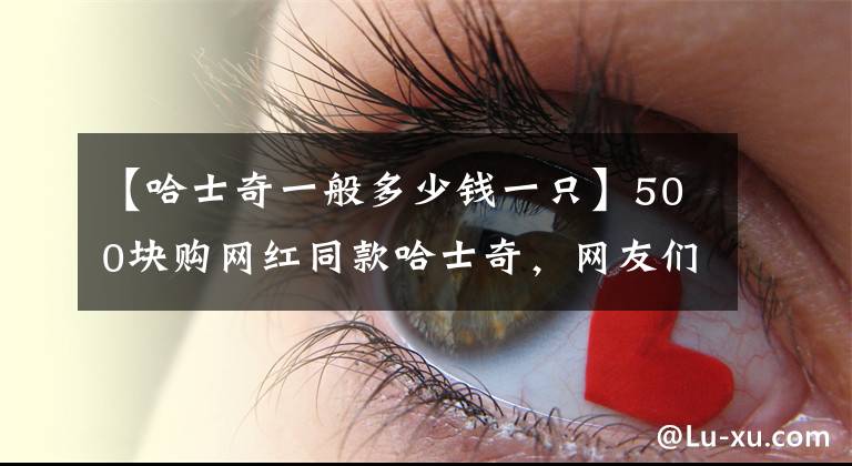 【哈士奇一般多少錢一只】500塊購(gòu)網(wǎng)紅同款哈士奇，網(wǎng)友們看完，長(zhǎng)成這樣肯定紅！