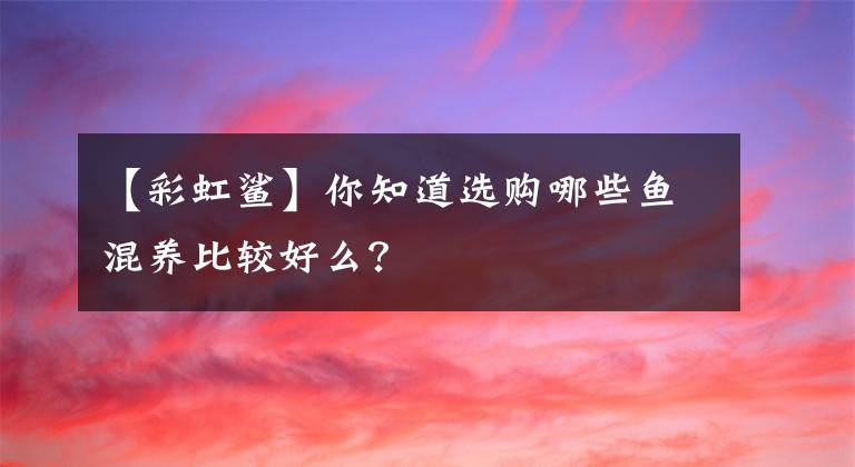 【彩虹鯊】你知道選購哪些魚混養(yǎng)比較好么？