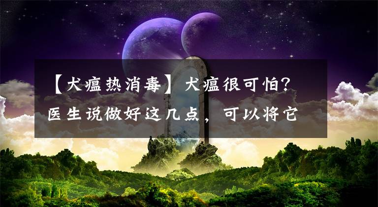 【犬瘟熱消毒】犬瘟很可怕？醫(yī)生說做好這幾點，可以將它拒絕在門外