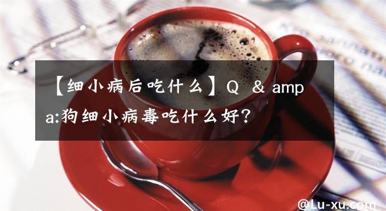 【細(xì)小病后吃什么】Q  & ampa:狗細(xì)小病毒吃什么好？