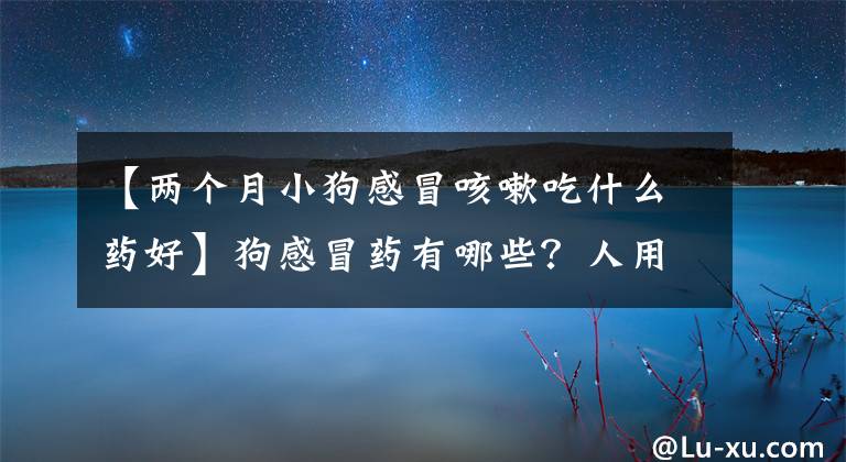 【兩個(gè)月小狗感冒咳嗽吃什么藥好】狗感冒藥有哪些？人用的東西能吃嗎？