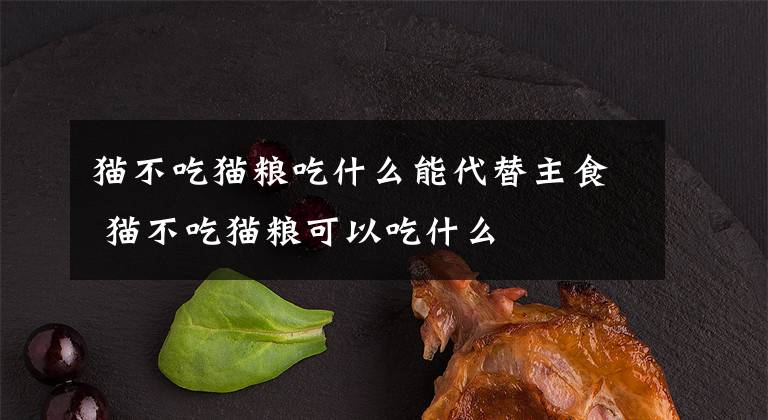 貓不吃貓糧吃什么能代替主食 貓不吃貓糧可以吃什么