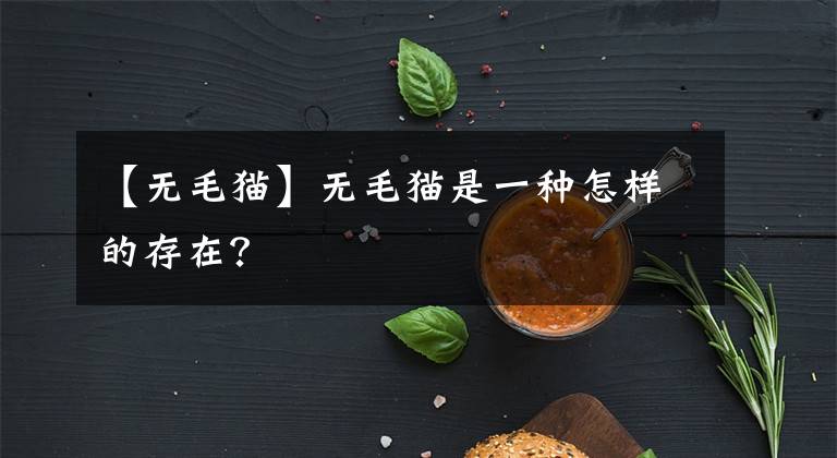 【無毛貓】無毛貓是一種怎樣的存在？