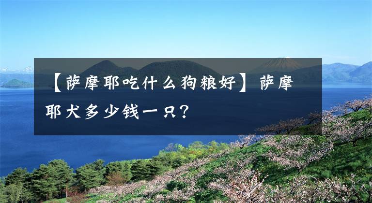 【薩摩耶吃什么狗糧好】薩摩耶犬多少錢一只？