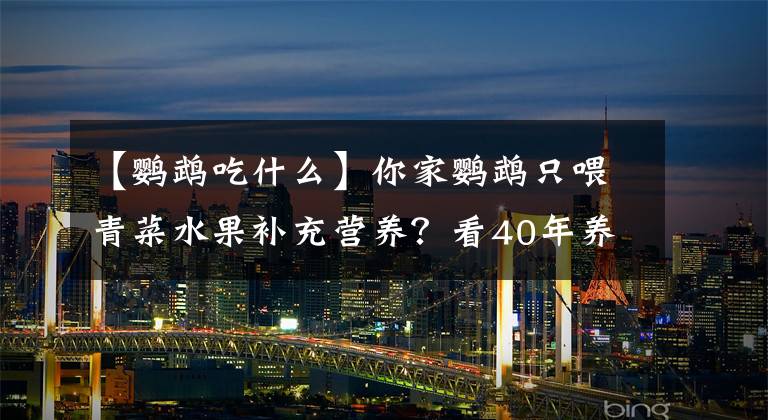 【鸚鵡吃什么】你家鸚鵡只喂青菜水果補(bǔ)充營(yíng)養(yǎng)？看40年養(yǎng)鳥人營(yíng)養(yǎng)秘籍！