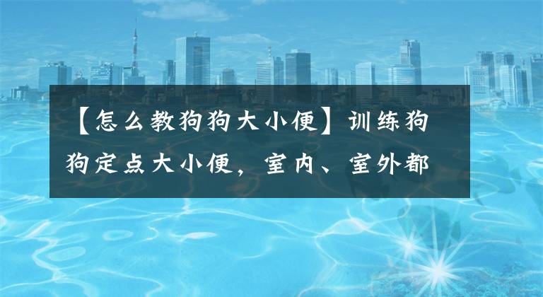 【怎么教狗狗大小便】訓(xùn)練狗狗定點大小便，室內(nèi)、室外都學(xué)會，家里自然不會有臭味