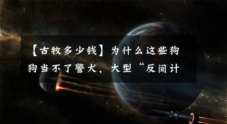 【古牧多少錢】為什么這些狗狗當(dāng)不了警犬，大型“反間計(jì)”現(xiàn)場(chǎng)