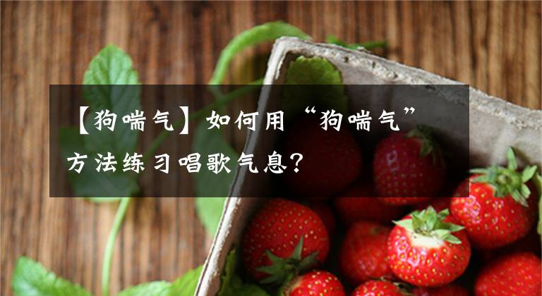 【狗喘氣】如何用“狗喘氣”方法練習唱歌氣息？