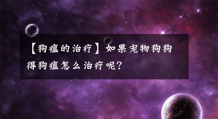 【狗瘟的治療】如果寵物狗狗得狗瘟怎么治療呢？