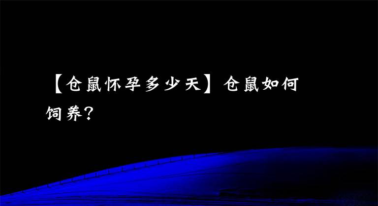 【倉(cāng)鼠懷孕多少天】倉(cāng)鼠如何飼養(yǎng)？