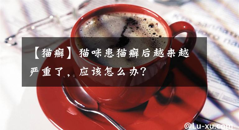 【貓癬】貓咪患貓癬后越來越嚴(yán)重了，應(yīng)該怎么辦？