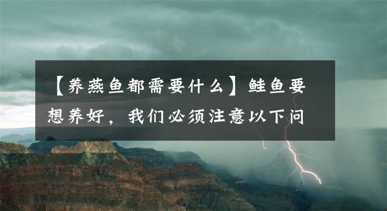 【養(yǎng)燕魚都需要什么】鮭魚要想養(yǎng)好，我們必須注意以下問題！