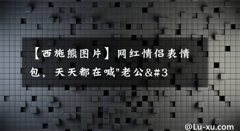 【西施熊圖片】網(wǎng)紅情侶表情包，天天都在喊"老公"的是它？