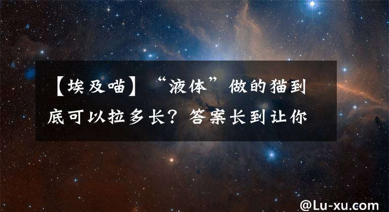 【埃及喵】“液體”做的貓到底可以拉多長(zhǎng)？答案長(zhǎng)到讓你不敢相信