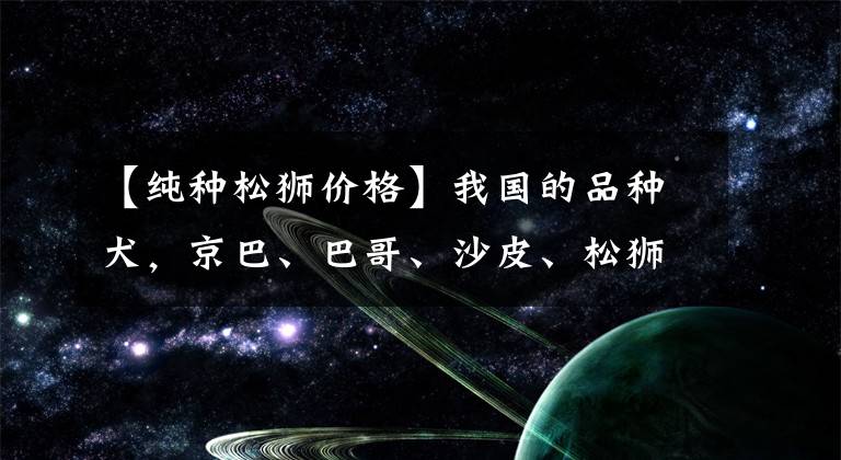 【純種松獅價格】我國的品種犬，京巴、巴哥、沙皮、松獅犬等你最喜歡哪種呢