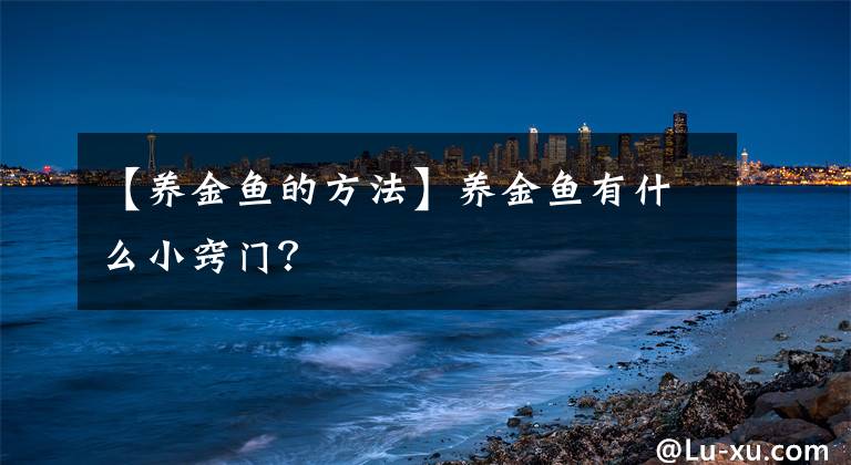 【養(yǎng)金魚的方法】養(yǎng)金魚有什么小竅門？