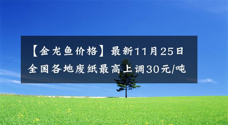 【金龍魚價格】最新11月25日全國各地廢紙最高上調(diào)30元/噸，最高下調(diào)50元/噸