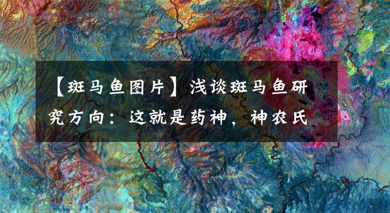 【斑馬魚圖片】淺談斑馬魚研究方向：這就是藥神，神農(nóng)氏，搖錢樹