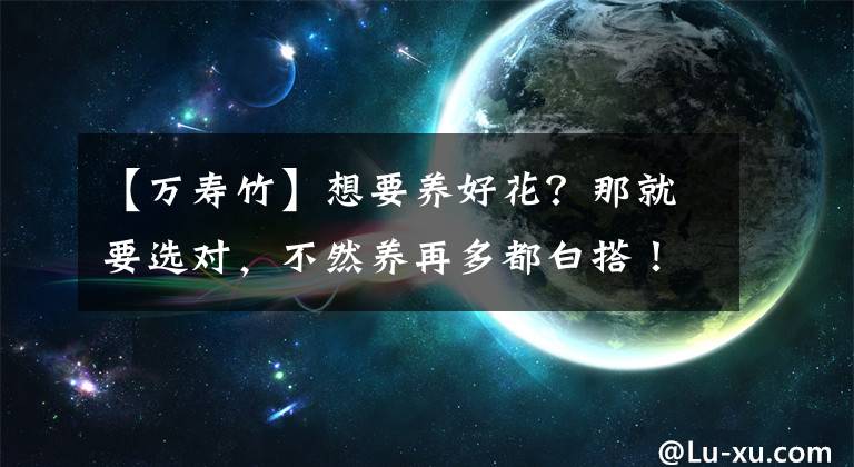 【萬(wàn)壽竹】想要養(yǎng)好花？那就要選對(duì)，不然養(yǎng)再多都白搭！