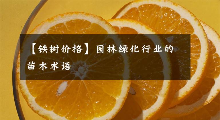 【鐵樹價格】園林綠化行業(yè)的苗木術(shù)語