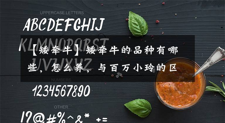 【矮牽牛】矮牽牛的品種有哪些，怎么養(yǎng)，與百萬(wàn)小玲的區(qū)別？